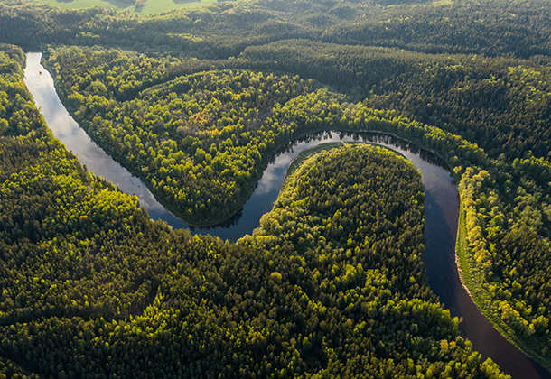 Aerial view of a river winding through a rainforest.